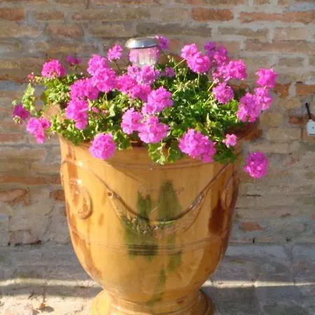 Barocco Frühstückspension *