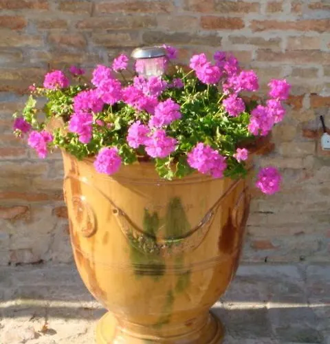 Barocco Bed & Breakfast *